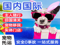 梅州机场物流国际宠物托运 【国